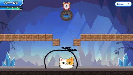 SS