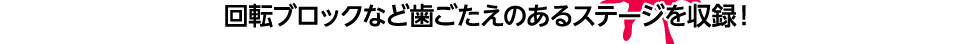 回転ブロックなど歯ごたえのあるステージを収録！