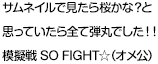 サムネイルで見たら桜かな？と思っていたら全て弾丸でした！！模擬戦SO FIGHT☆（オメ公）