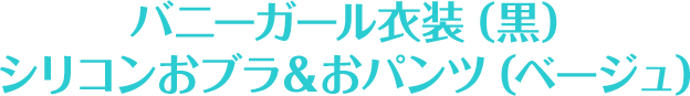 バニーガール衣装（黒）シリコンおブラ＆おパンツ（ベージュ）