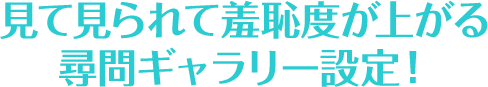 見て見られて羞恥度が上がる尋問ギャラリー設定！