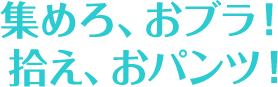 集めろ、おブラ！拾え、おパンツ！