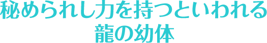 秘められし力を持つといわれる龍の幼体