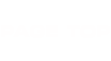 pagetop