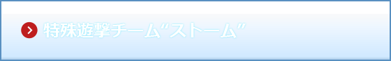 特殊遊撃チーム“ストーム”