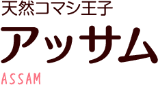 天然コマシ王子 アッサム