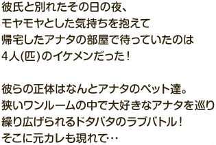 彼氏と別れたその日の夜、モヤモヤとした気持ちを抱えて帰宅したアナタの部屋で待っていたのは4人(匹)のイケメンだった！