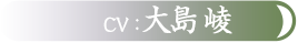 cv:????