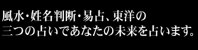 D3 PUBLISHER INC.