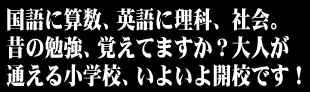 国語に算数、英語に理科、社会。
昔の勉強、覚えてますか？
大人が通える小学校、いよいよ開校です！