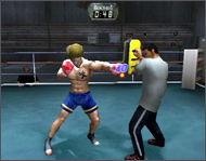 MAX ROAD19