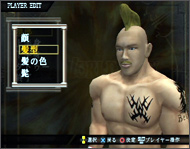 MAX ROAD3
