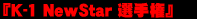 �wK-1 NewStar �I�茠�x