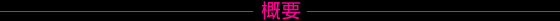概要