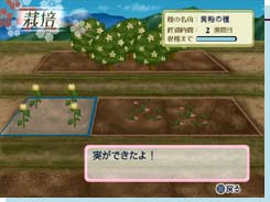 召しませ 浪漫茶房