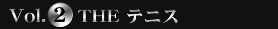 SIMPLE2500 Portable!! シリーズVol.2　ＴＨＥテニス