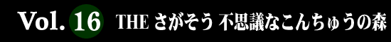 Vol.16 THE さがそう 不思議なこんちゅうの森