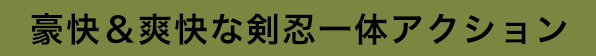 豪快＆爽快な剣忍一体アクション