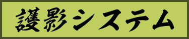 護影システム