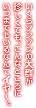 いくらゾンゾンの大群が珍しくても、こんなところにいつまでもいるなんてイヤ～。