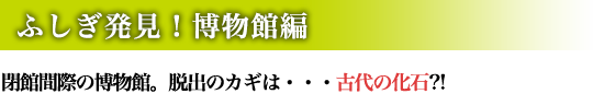 ふしぎ発見！博物館編