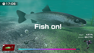 魚