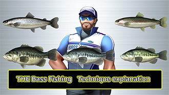 THE Bass Fishing Tecnique Explanation