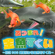 ニュース画像