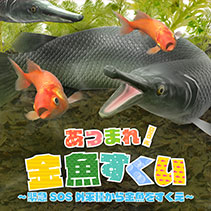 あつまれ！金魚すくい ～緊急SOS外来種から金魚をすくえ～