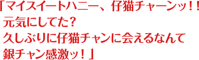 「マイスイートハニー、仔猫チャーンッ！！元気にしてた？久しぶりに仔猫チャンに会えるなんて銀チャン感激ッ！」