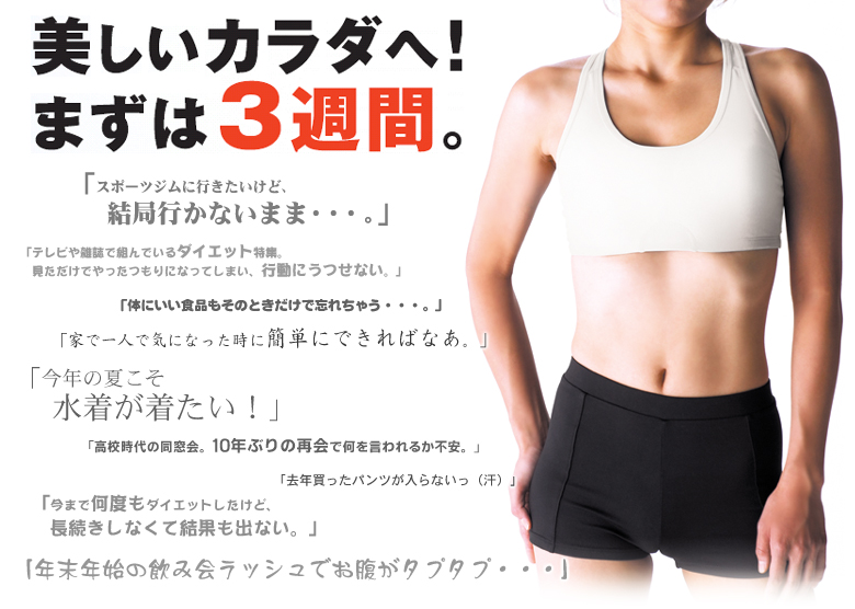 脂肪燃焼計画　やせトレ!!DS