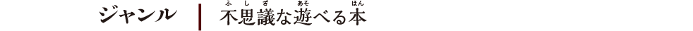 【ジャンル】不思議な遊べる本