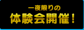 ドリームクラブポータルサイト