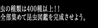 虫の種類は400種以上!!全部集めて昆虫図鑑を完成させよう。
