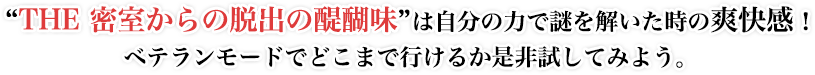 “THE 密室からの脱出の醍醐味”は自分の力で謎を解いた時の爽快感！ ベテランモードでどこまで行けるか是非試してみよう。