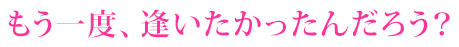 もう一度、逢いたかったんだろう？